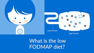 FODMAP Foods What are They Problems Why Low Carb Helps [upl. by Einaffets]