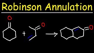 Robinson Annulation Reaction Mechanism [upl. by Davena206]