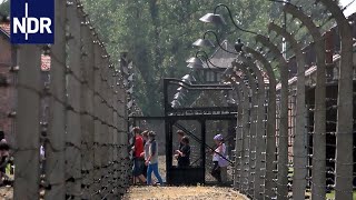 Auschwitz Arbeit und Alltag in der Gedenkstätte  7 Tage  NDR Doku [upl. by Gine]