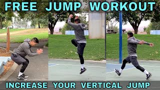 FREE PLYOMETRIC JUMP TRAINING WORKOUT  How To Jump Higher [upl. by Tecla181]