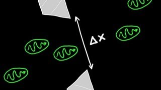 Heisenbergs Uncertainty Principle Explained [upl. by Sharla227]