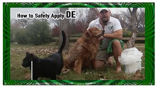 How to SAFELY apply Diatomaceous Earth to your Pets [upl. by Llevra485]