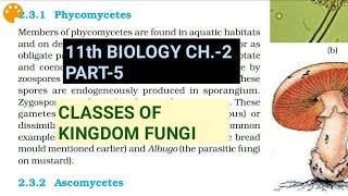 Class 11 BiologyCh2 Part5Classes of FungiStudy with Farru [upl. by Einnad]