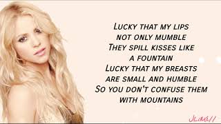 Shakira  Whenever Wherever Lyrics 4k [upl. by Daigle]