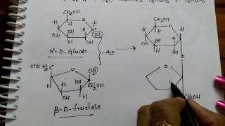 Disachharides Sucrose Maltose and Lactose Chemistry [upl. by Mandelbaum616]