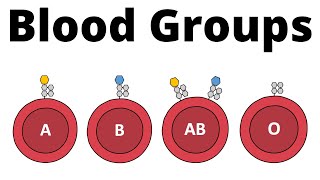 ABO Blood Group System AB0 Blood types amp compatibility explained [upl. by Marcille]