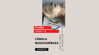 A Cánula nasofaríngea [upl. by Lyram]