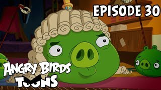 Angry Birds Toons  Piggywig  S1 Ep30 [upl. by Washko]