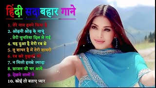 Dil Tera Deewana – Lily Matinez  Official Exclusive [upl. by Sebastiano]