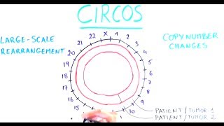 Our genome in a circle [upl. by Ettelra]