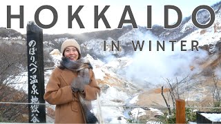 What to do in Hokkaido in Winter [upl. by Bunow]