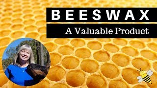 What to Do With Beeswax  Why Is it Useful [upl. by Hgielrebmik]