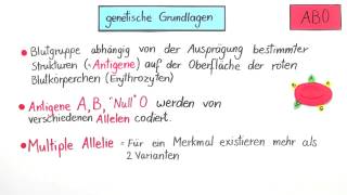 Die Vererbung der Blutgruppen AB0 und des Rhesusfaktors  Biologie  Genetik [upl. by Souza]