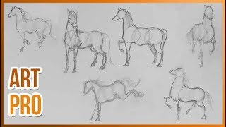 How to draw HORSES step by step 🐎 METHOD [upl. by Yetty]