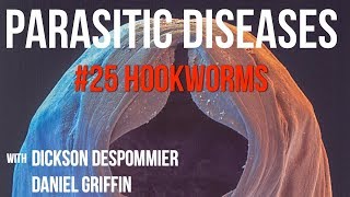 Parasitic Diseases Lectures 25 Hookworms [upl. by Yauqaj]