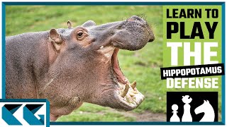 Chess Openings Learn to Play the Hippopotamus Defense [upl. by Getter]