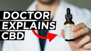 500 mg CBD Tincture from CBDistillery  PRODUCT REVIEW [upl. by Huba]