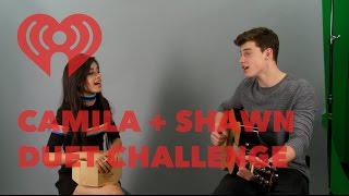 Shawn Mendes amp Camila Cabello Duet  Mashup Songs  Artist Challenge [upl. by Nyhagen]