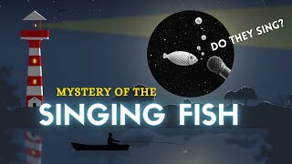 Mystery of the Singing Fish  Sri Lanka [upl. by Zumwalt]