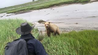 Grizzly Bear Charge in Remote Alaska [upl. by Attenreb]