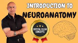 Intro to Neuroanatomy  Neurophysiology  Neuroscience  Central Nervous System [upl. by Cyprus]