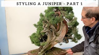 Styling A Juniper  Part 1 [upl. by Shushan308]