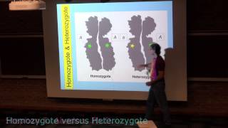 Homozygote and Heterozygote [upl. by Jonas]