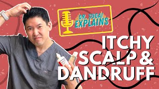 Dr Sugai Explains Itchy Scalp and Dandruff What Shampoos to Consider [upl. by Brechtel]