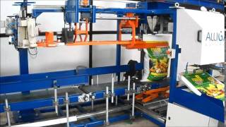 Automatic Bagging Machine [upl. by Mossman]