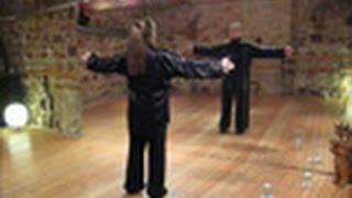 Taiji Qigong Shibashi 1 Set Qigong BadenBaden [upl. by Lucienne604]