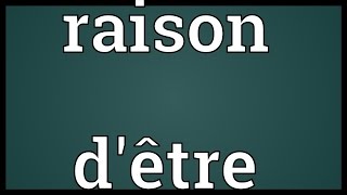 Raison dêtre Meaning [upl. by Enirok]