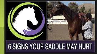 Top 6 Signs Your Saddle may be Hurting Your Horse [upl. by Ocsecnarf]