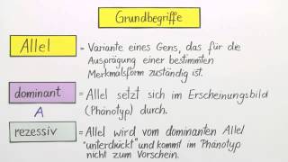 Erbgänge dominantrezessiv intermediär und kodominant  Biologie  Genetik [upl. by Ethelstan]