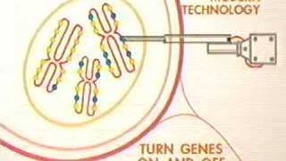 Trendelenburg Sign  Hip Abductor Weakness [upl. by Nnylarej]