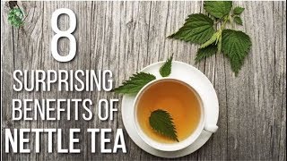 8 Surprising Benefits Of Nettle Tea  Organic Facts [upl. by Yrelle]