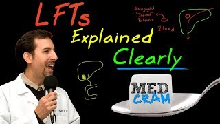 Liver Function Tests LFTs Explained Clearly by MedCramcom [upl. by Kaenel892]