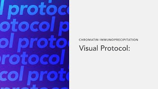 Chromatin Immunoprecipitation Visual Protocol [upl. by Yaj558]