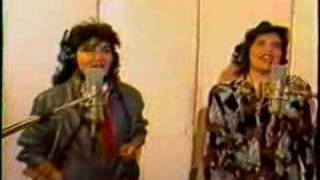 Zulma Yugar e Enriqueta Ulloa  Tonada para Remedio [upl. by Marquez]