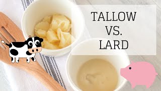 Tallow Vs Lard  WHICH IS BETTER  Bumblebee Apothecary [upl. by Nilek709]