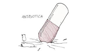 Animatie antibiotica resistentie RIVM [upl. by Fassold1]