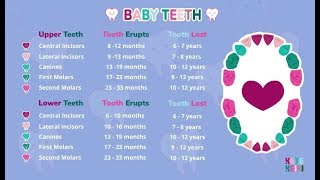 PediatricAnswers com  How to Take a Babys Temperature [upl. by Esor]