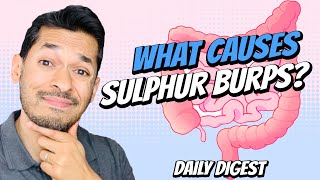 What Causes Sulphur Burps [upl. by Ellemaj]