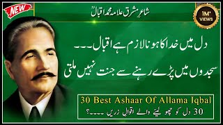 Allama Iqbal Shayari  Best 2 Line Poitry of Allama iqbal  iqbal quotes  iqbal Poitry [upl. by Nipahc158]