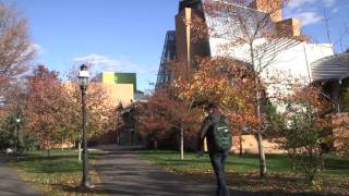 Fall color transforms the Princeton campus [upl. by Mcculloch574]