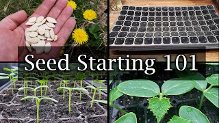 How To Start Vegetable Seeds  The Definitive Guide For Beginners [upl. by Willmert]