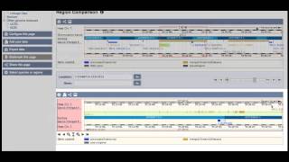 Comparing genes and species in Ensembl [upl. by Kilian352]