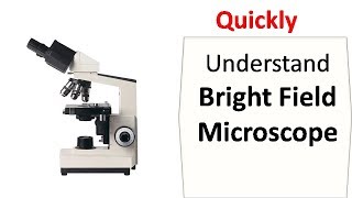 Bright field microscopy [upl. by Greabe6]