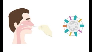 Describing antigen testing for COVID 19 [upl. by Noram590]