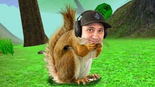 Im a squirrel  Squirrel Simulator [upl. by Rilda]