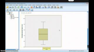 11 Diagrama de caja y brazos con SPSS [upl. by Atnaloj43]